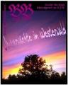 Bild (45) b